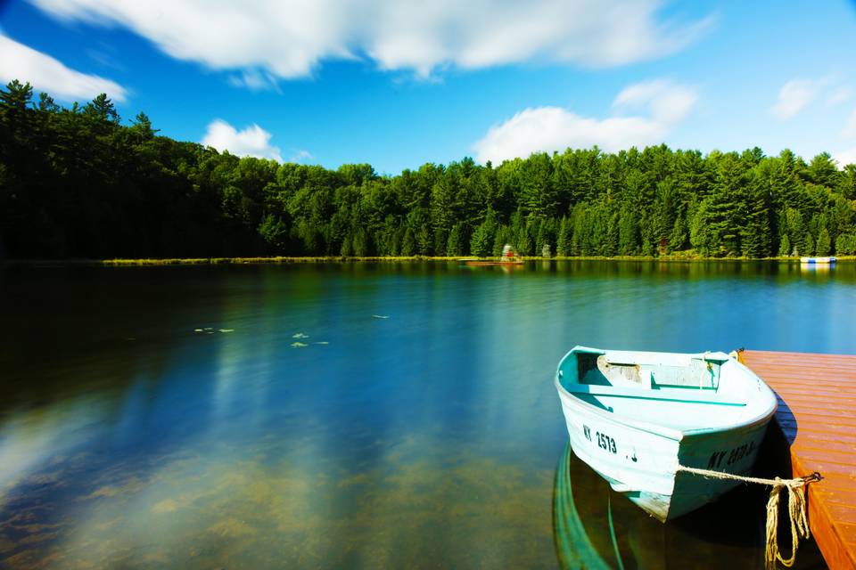 The Lake