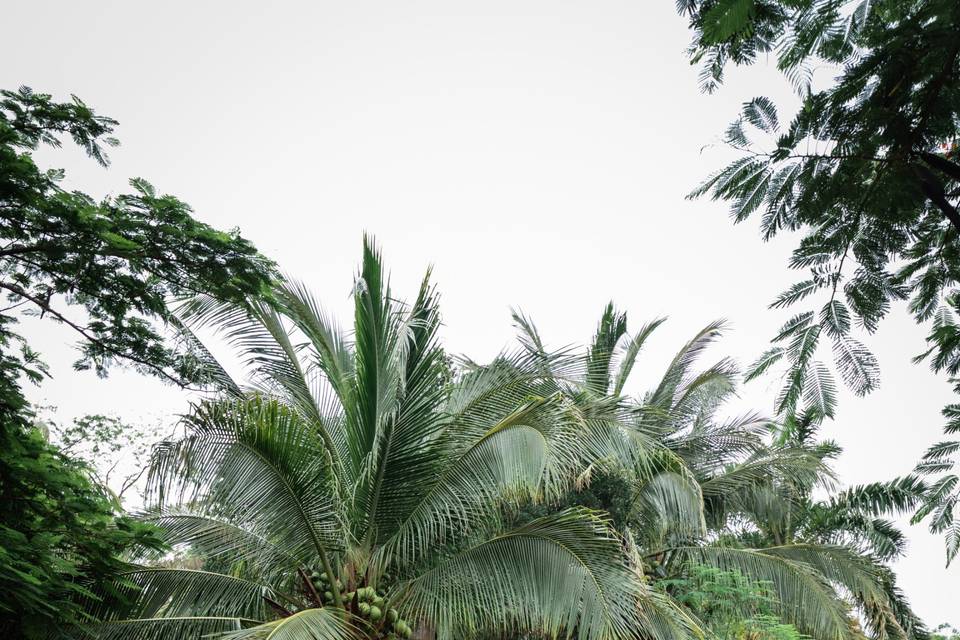 Costa Rica Elopement