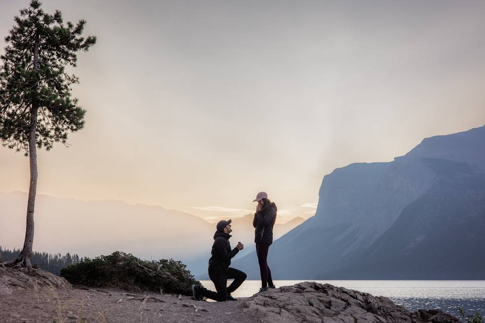 Surprise Proposal