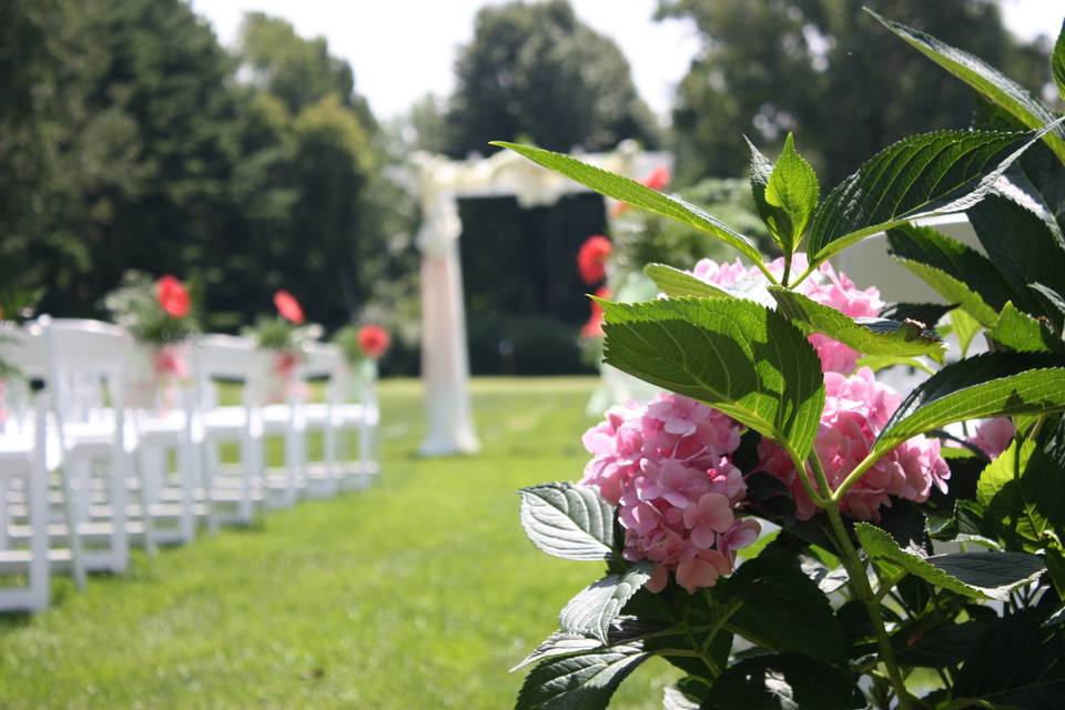 Outdoor ceremony