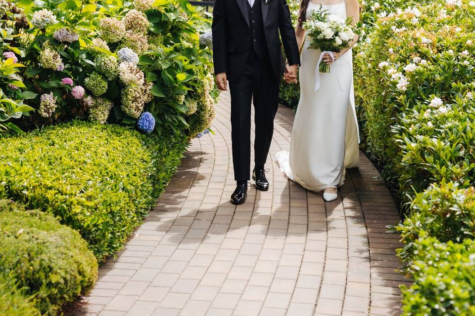 Hydrangeas
