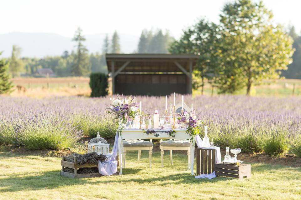 Lavender Field Sweetheart Tabl