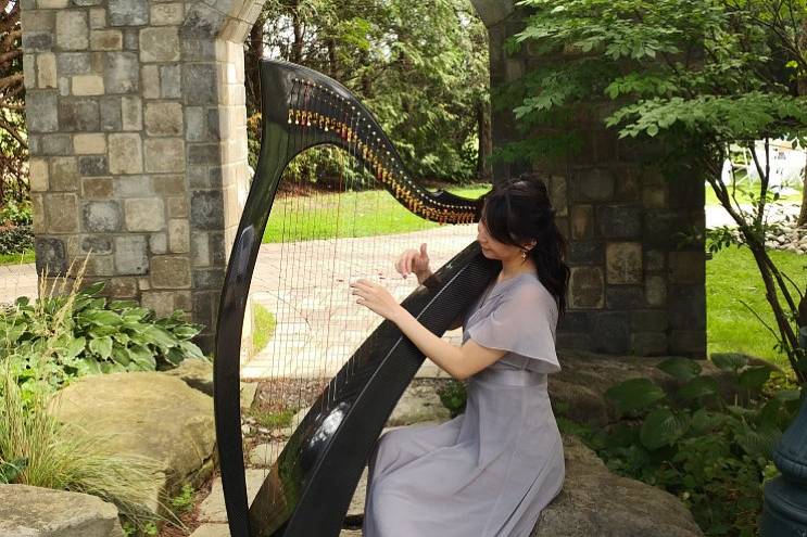 Harpist Gracelyn