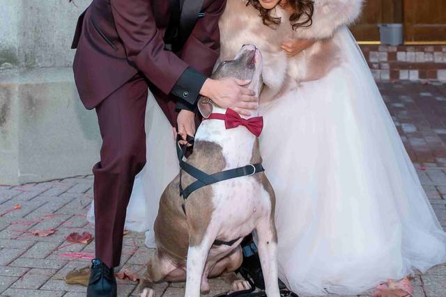 Taken in London Ontario.