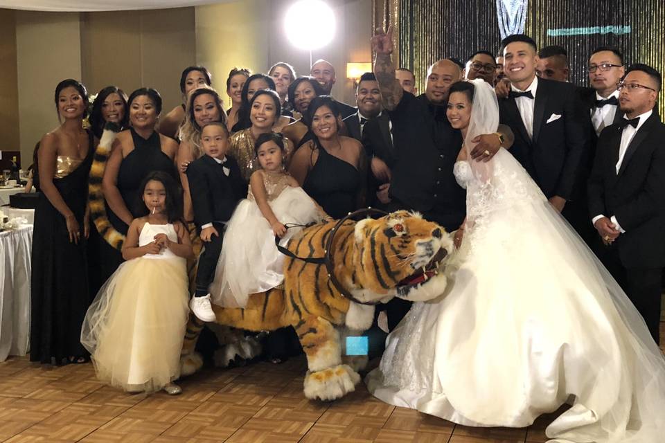 Robot Tiger debuts at wedding