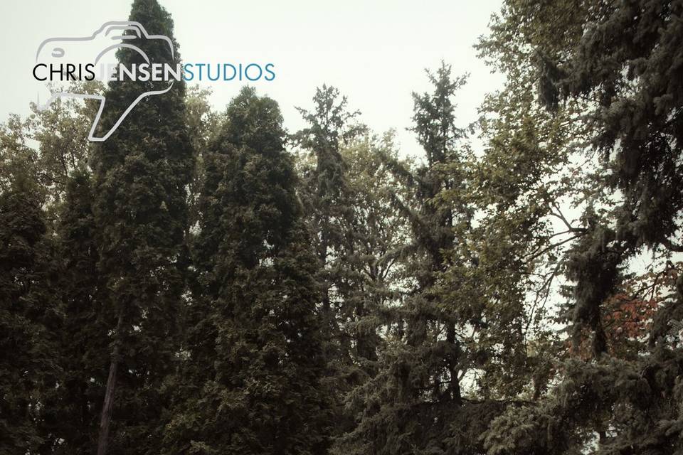 Chris Jensen Studios