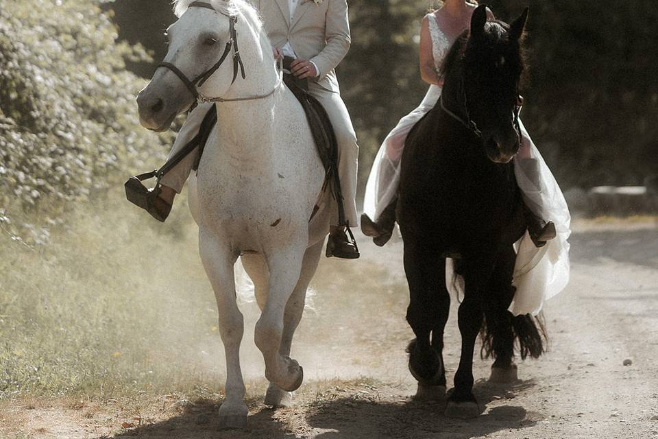 Hennygraphy (photographer)