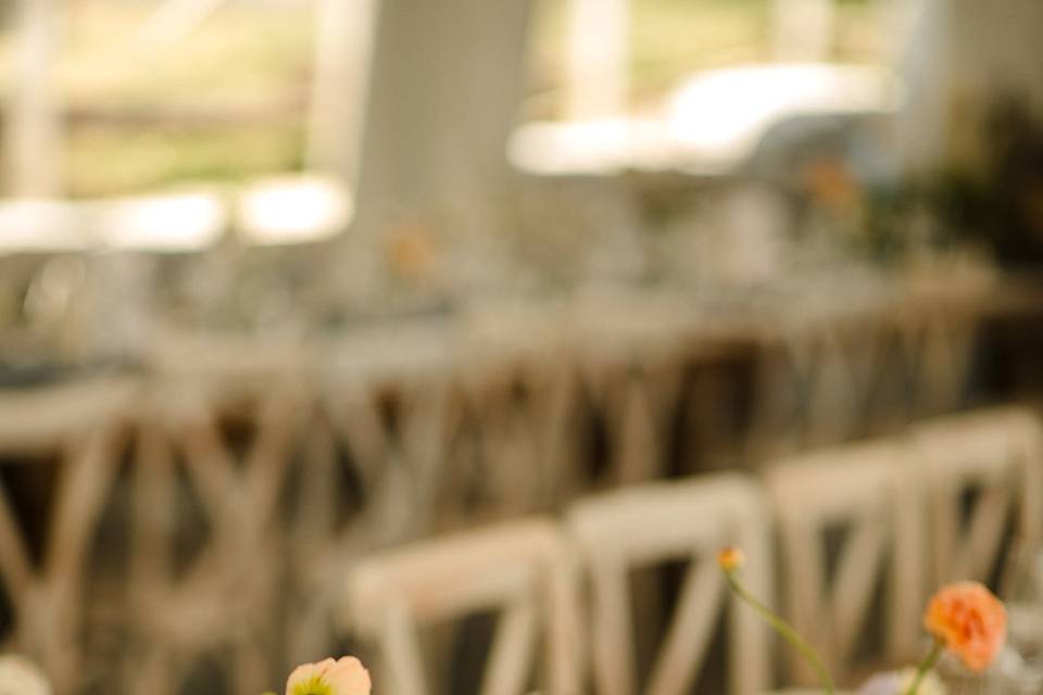 O&B Blue Mountain Catering