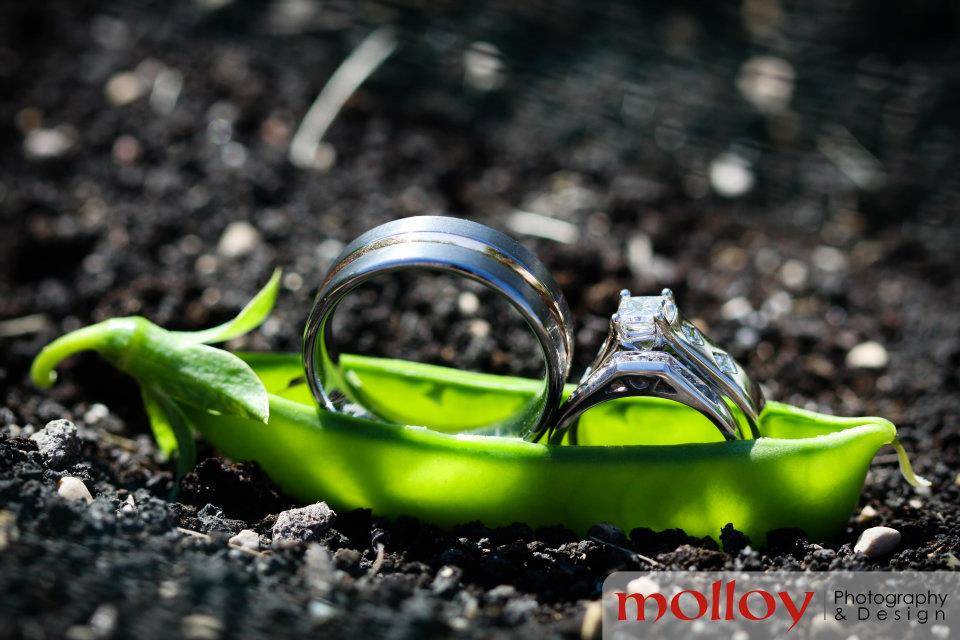 Molloy Photography & Design