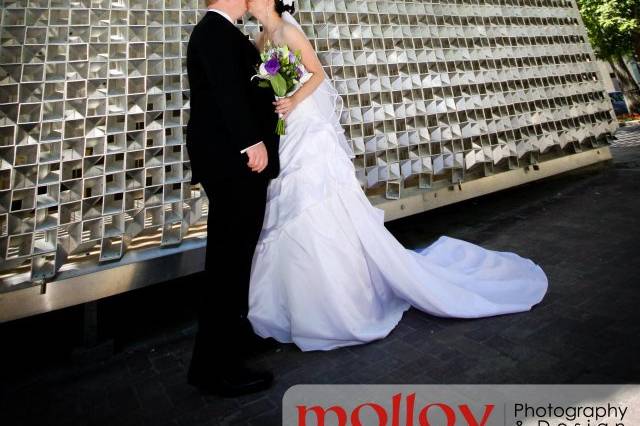 Molloy Photography & Design