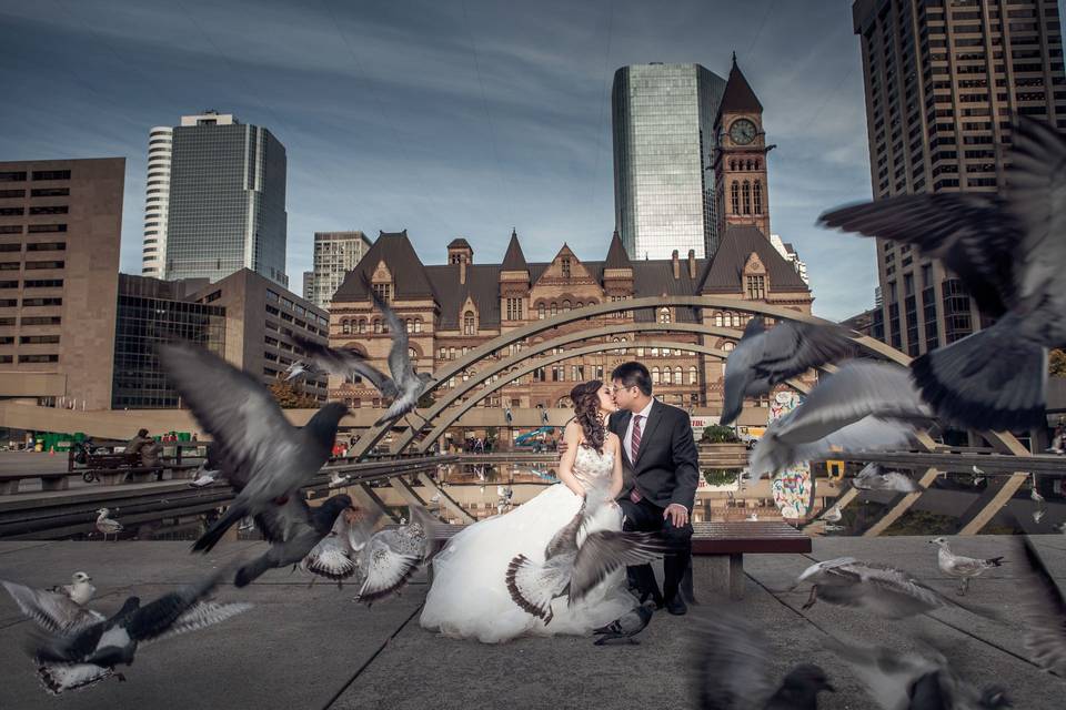 Pre-wedding  City Hall Toronto