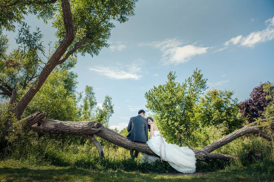 The Bluffers park pre wedding