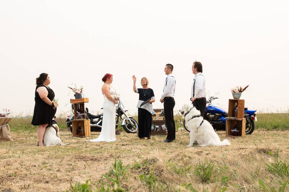 Field Wedding