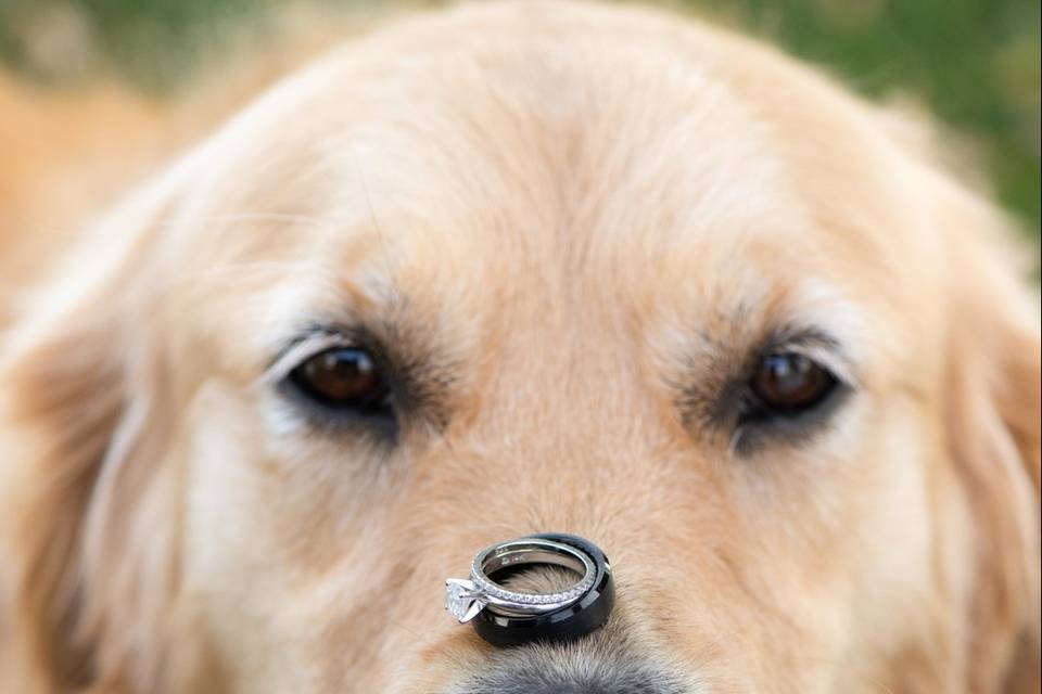 Ring Details