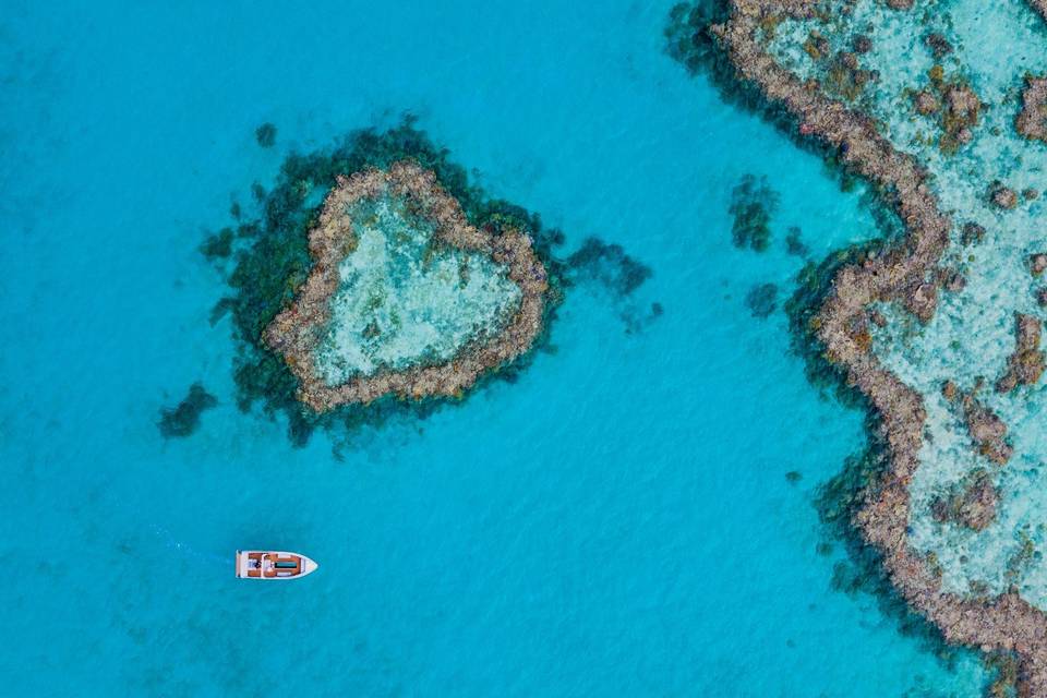 Great Barrier Reef, Australia