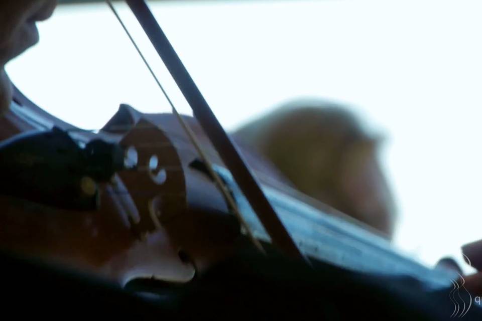 Violin closeup