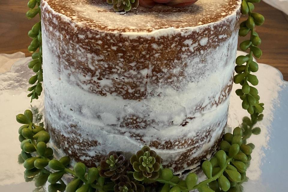 Naked Succulent Cake