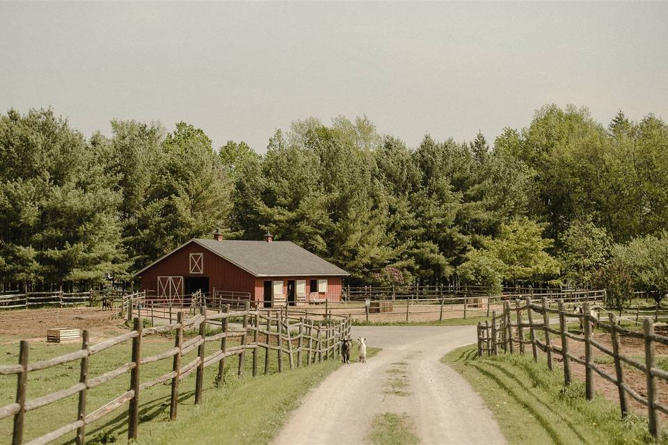 Barn and Driveway