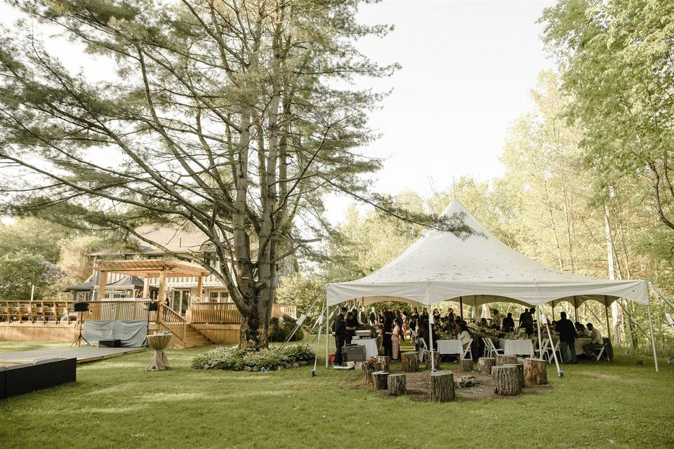 Garden reception setup