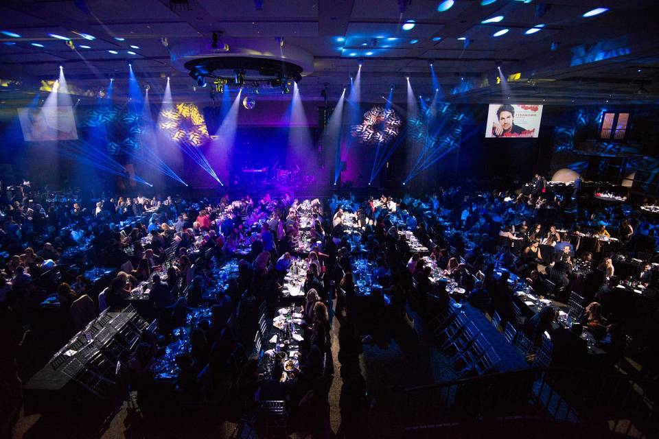 The Venue
