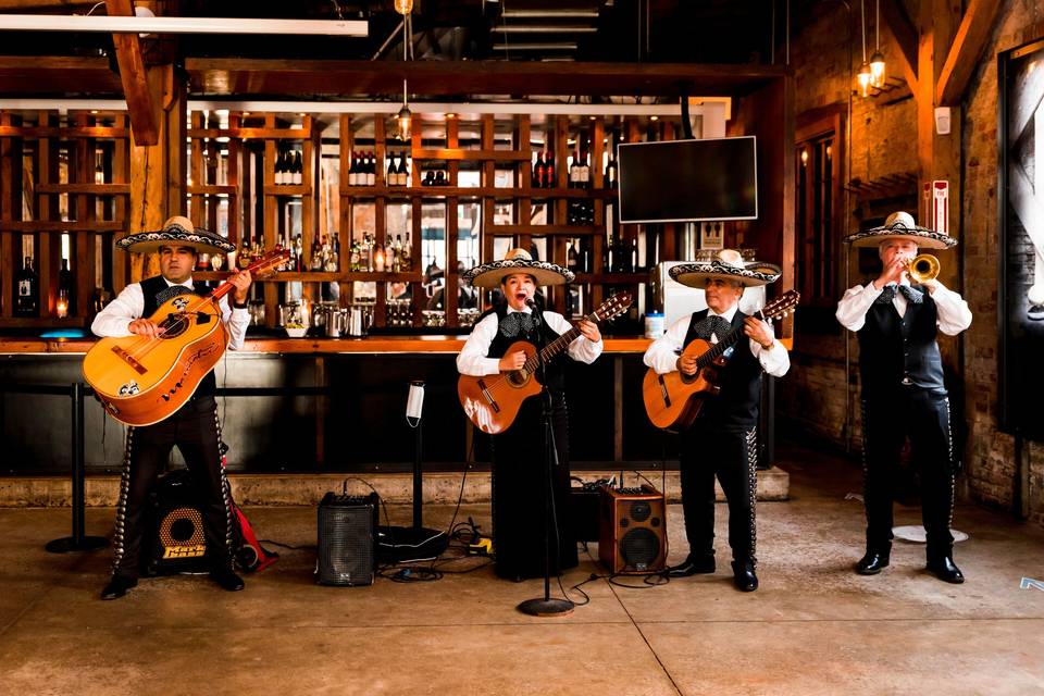 Mariachi band!