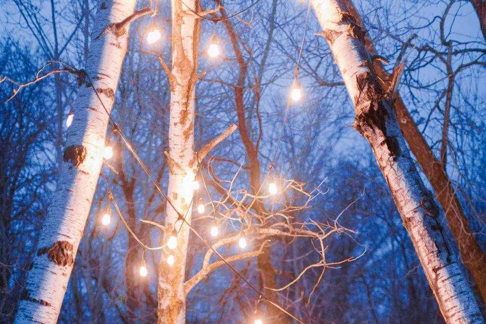 Winter lights