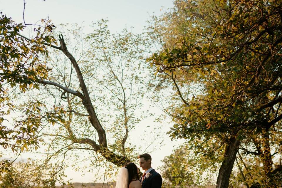 Fall at Hawthorn