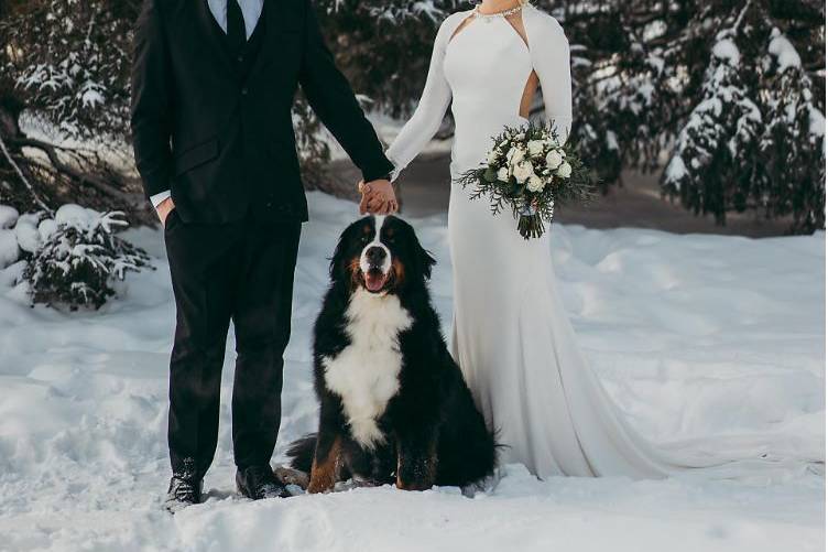 Pet Friendly Venue