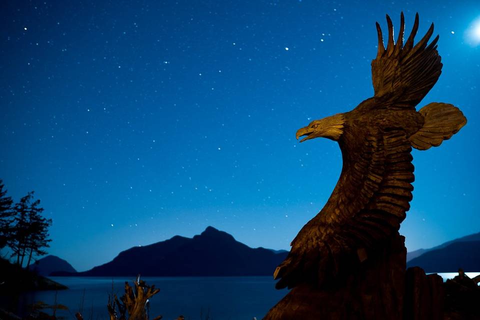 Eagle Sculpture on 14