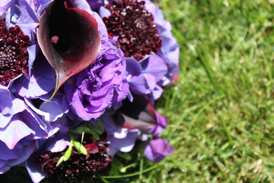 Calla and hydrangea