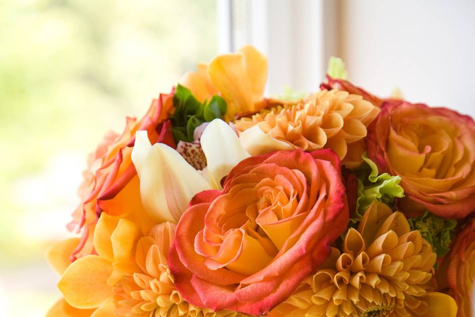 Orange posy