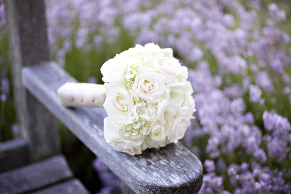 Roses and hydrangea