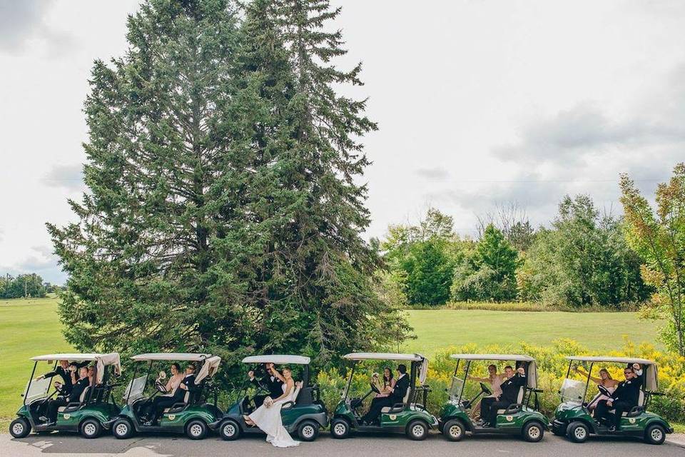 Wedding party in their buggies