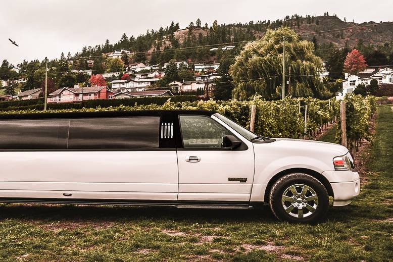 Ford Excursion Interior