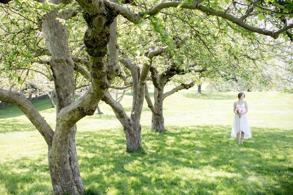 Sidney, British Columbia bridal gown