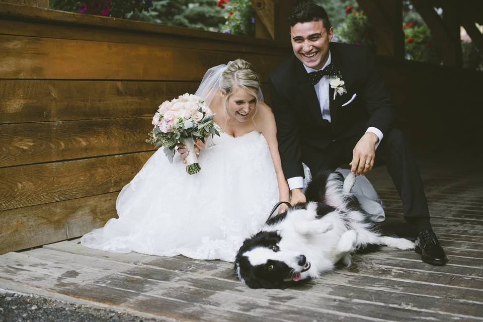 Pet-friendly wedding venues