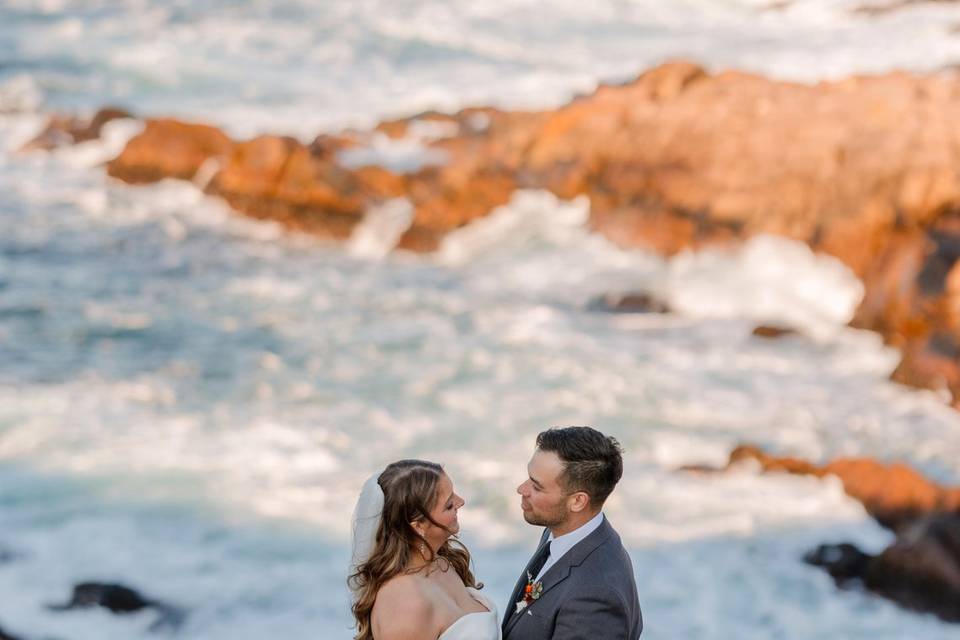 Newfoundland wedding
