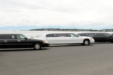 Arbutus Limousine