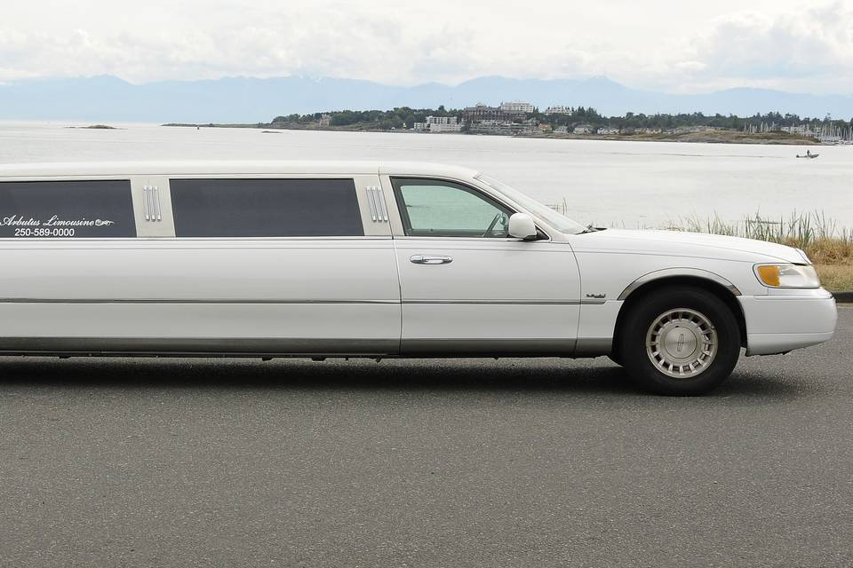 Arbutus Limousine