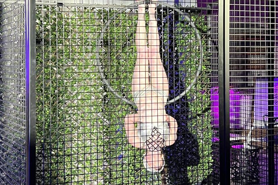 Mystique NYE Carriage House