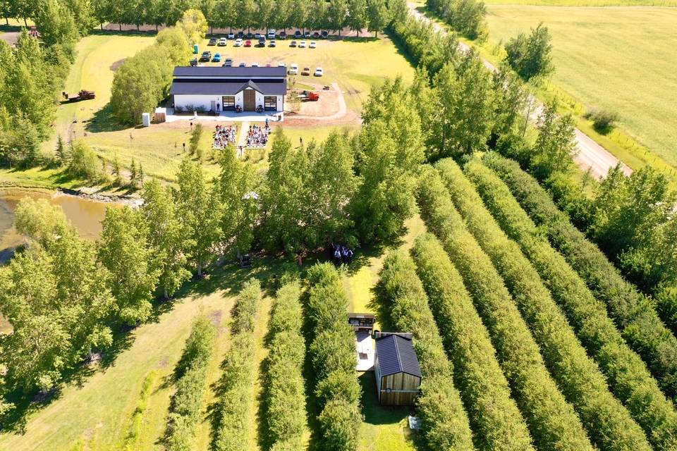 Aerial view: The Vine House