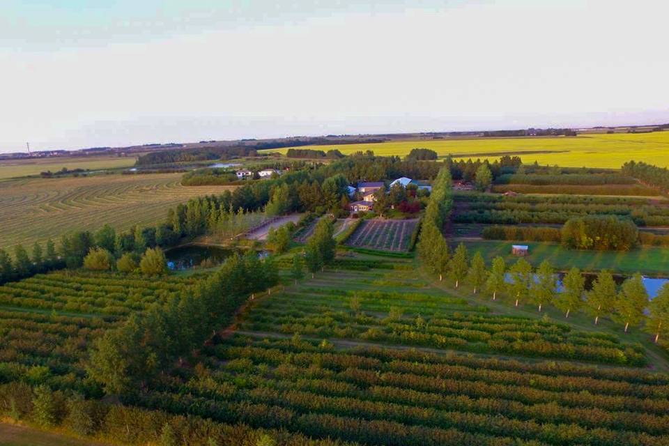 Aerial view from west