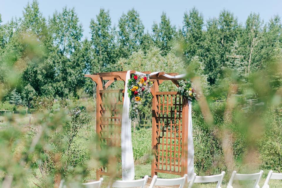 Wedding Arch