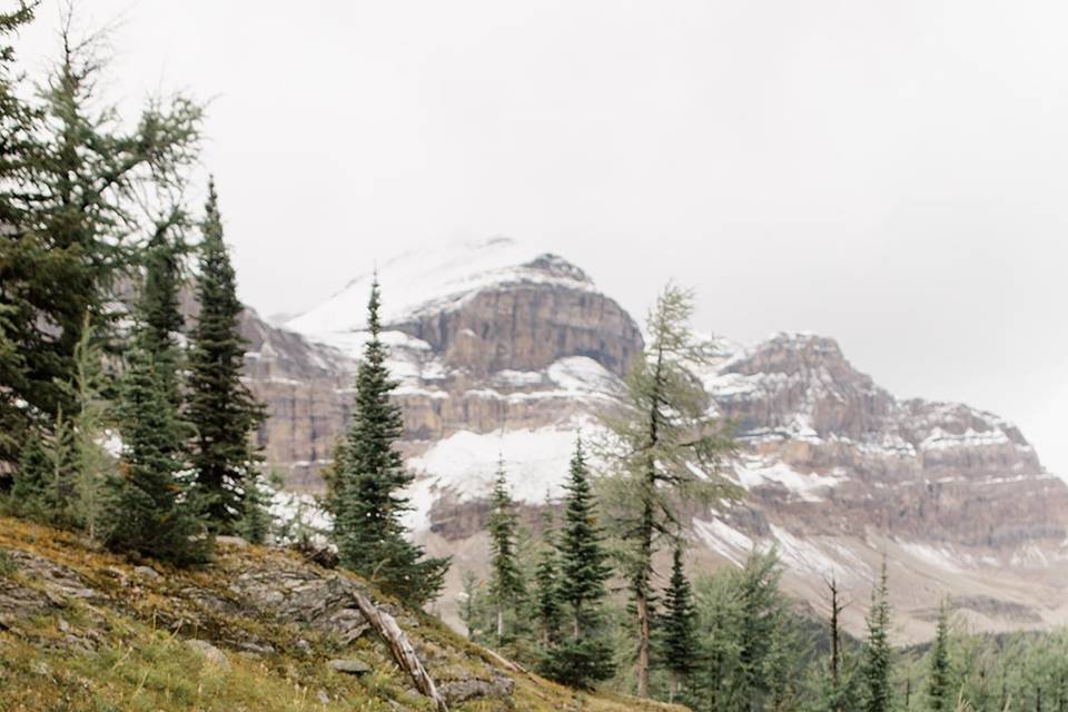 Rocky Mountain Wedding