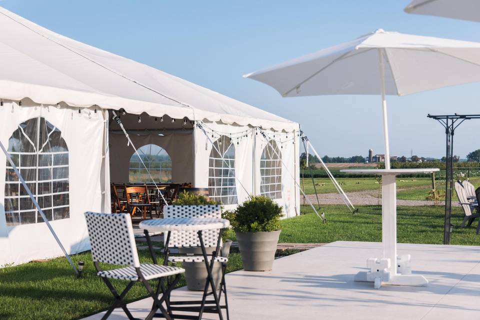 Marquee reception tent- Draped