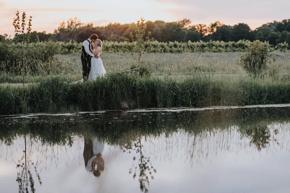 Serene pond with vineyard