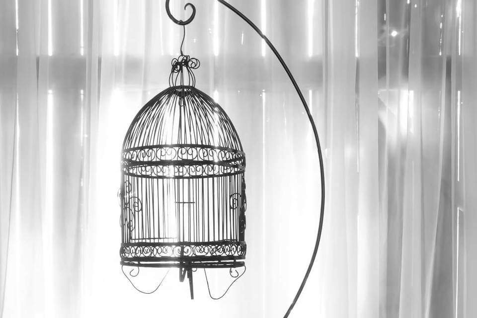 Bird Cage Decor