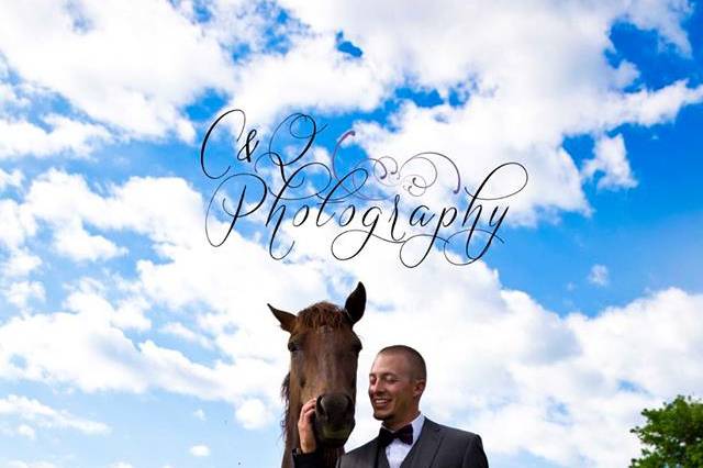 Groom and Horse