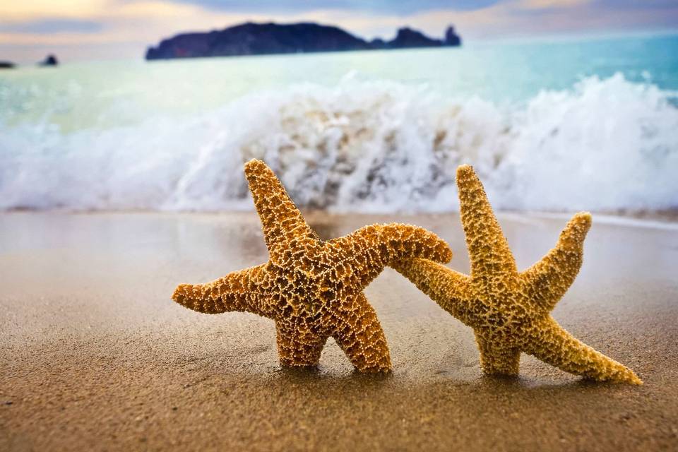 Happy Couple
