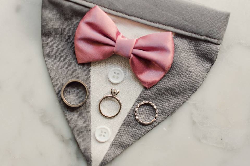 Dog Bandana and Rings
